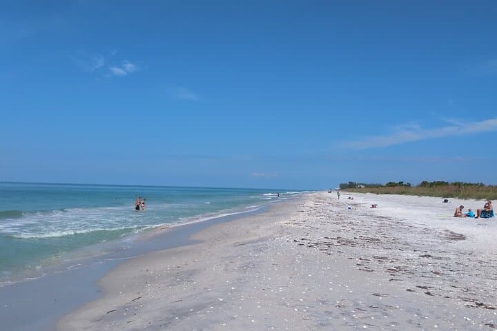 Punta Gorda to Cayo Costa: Private 5-Hour Beach & Sandbar Charter photo 5
