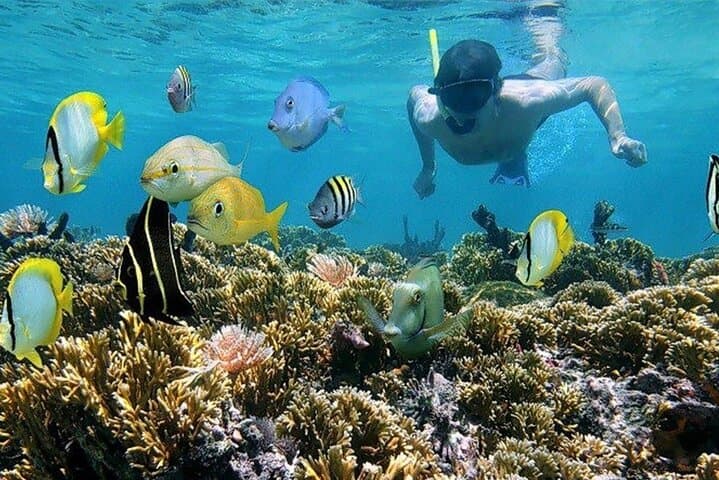Roatan Shore Excursion: Snorkel the Barrier Reef, Meet Sloths & Private Beach Break photo 5