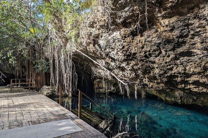 Cenote Cave & Akumal Sea Turtle Snorkel — Half-Day Riviera Maya Adventure photo 4