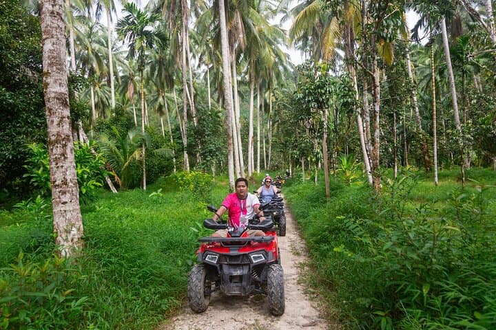 Khao Lak ATV, Thai Cooking Class & Ethical Elephant Visit photo 6