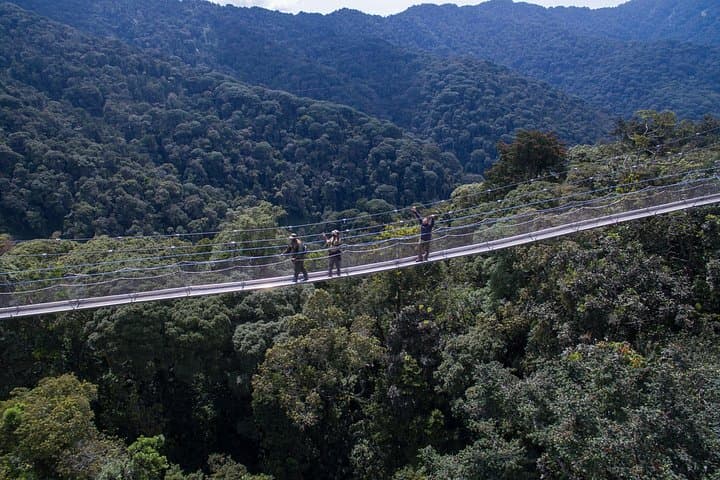 Nyungwe National Park: 2-Day Chimpanzee Trekking & Canopy Walk from Kigali photo 3