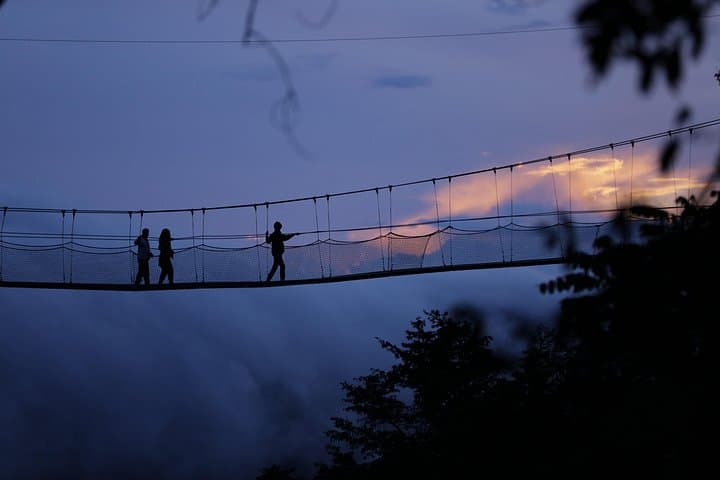 Nyungwe National Park: 2-Day Chimpanzee Trekking & Canopy Walk from Kigali photo 4