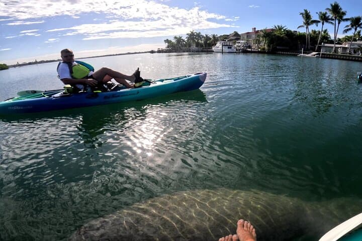 Lido Key Pedal Kayak Tour: Explore Sarasota Bay by Pedal Kayak photo 2
