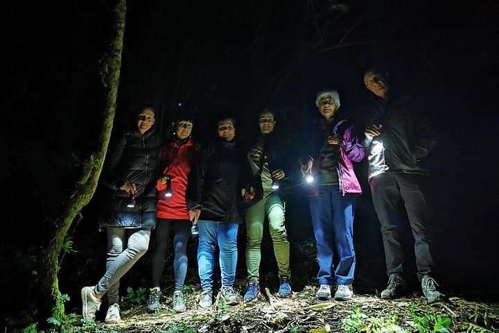 Monteverde Night Walk: Guided Cloud Forest Nocturnal Wildlife Tour