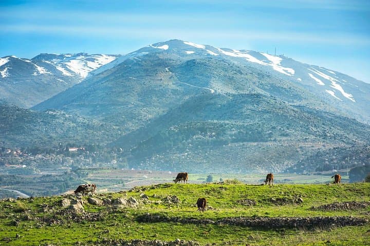 Golan Heights Full-Day Private Tour from Tel Aviv: Volcano Views, Ancient Synagogues & Galilee Scenery photo 2