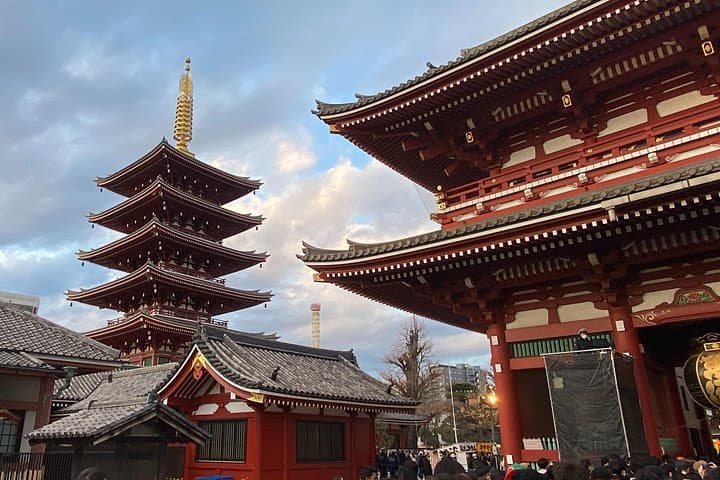 Tokyo on Wheels: Private Car Tour with English-Speaking Driver — 8–9 Hour Custom Route photo 1