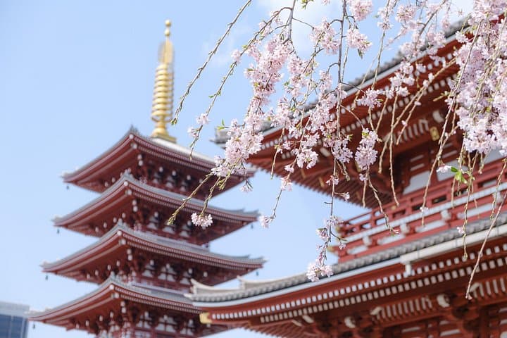 Tokyo on Wheels: Private Car Tour with English-Speaking Driver — 8–9 Hour Custom Route photo 4