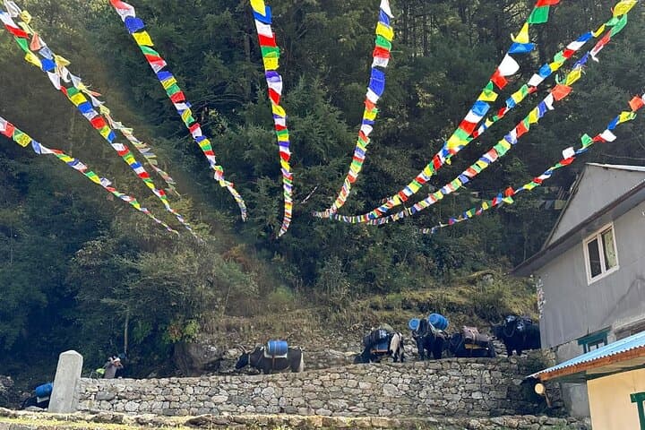 Everest Base Camp Trek: 12-Day Classic Khumbu Route via Lukla photo 3