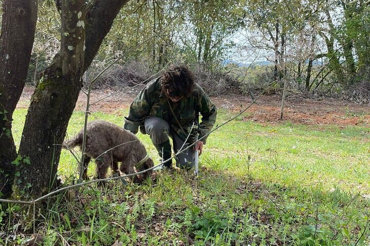 Truffle Hunting & Chianti Wine Tasting: A Tuscan Forage and Lunch Experience photo 6