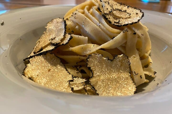 Truffle Hunting, Lunch & Chianti Tasting: Day Trip from Pisa photo 3