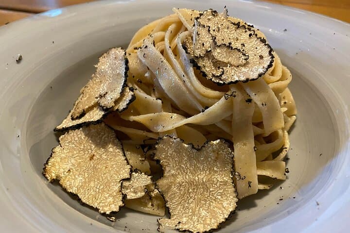 Truffle Hunting & Chianti Wine Tasting: A Tuscan Forage and Lunch Experience photo 5