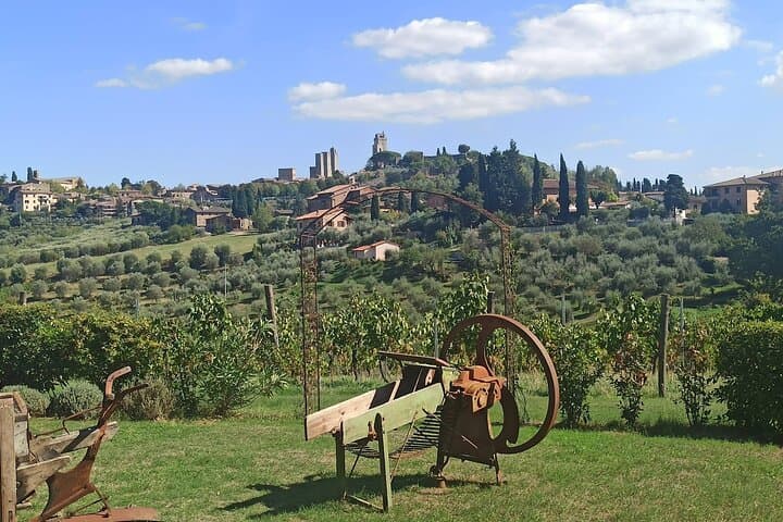 Private Pisa & Chianti Excursion from Livorno: Leaning Tower, Vineyards and Tasting photo 2