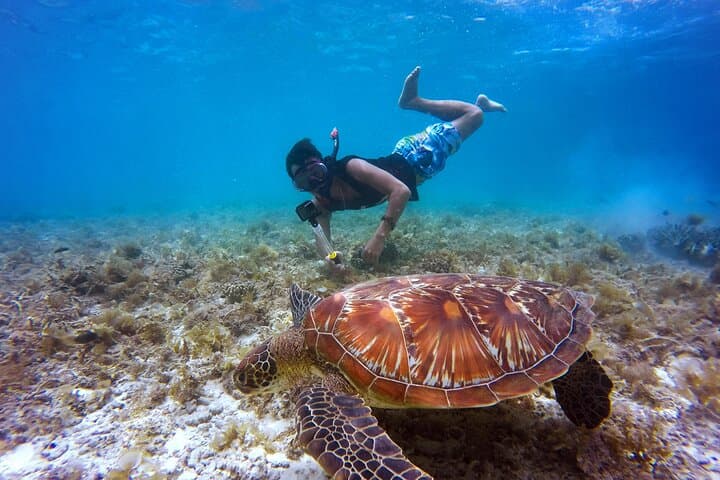 Private 2-Hour Snorkeling Tour in Unawatuna — Shipwrecks & Coral Reefs photo 2