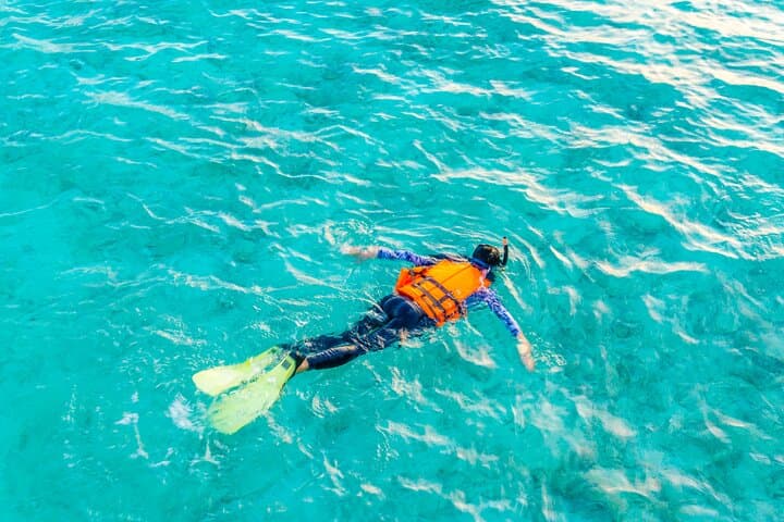Private 2-Hour Snorkeling Tour in Unawatuna — Shipwrecks & Coral Reefs photo 5