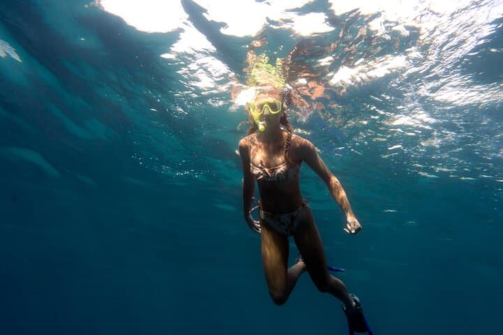 Private 2-Hour Snorkeling Tour in Unawatuna — Shipwrecks & Coral Reefs photo 6