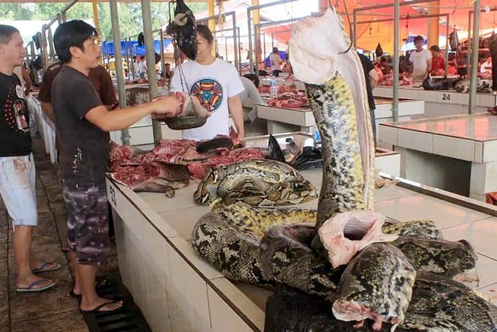 Private Manado & Tomohon Day Tour — Jesus Bless, Mount Mahawu & Tomohon Market photo 4