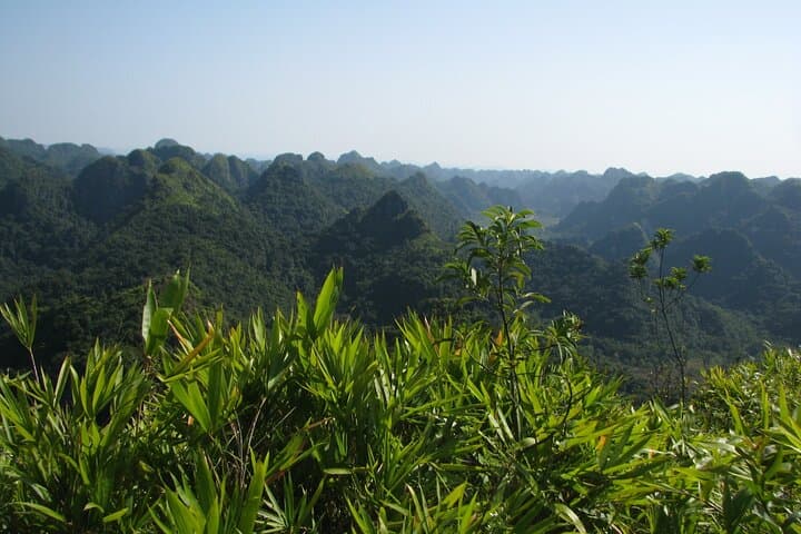 Half-Day Hike to Ngu Lam Peak & Hospital Cave in Cat Ba National Park photo 2