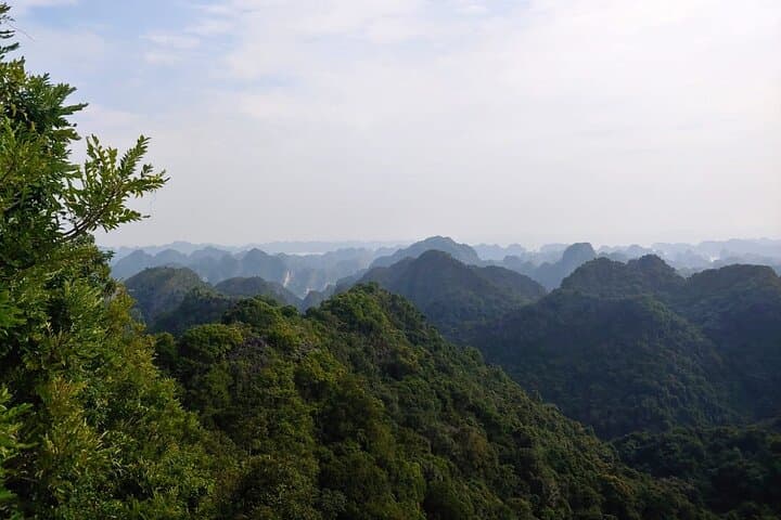 Half-Day Hike to Ngu Lam Peak & Hospital Cave in Cat Ba National Park photo 3
