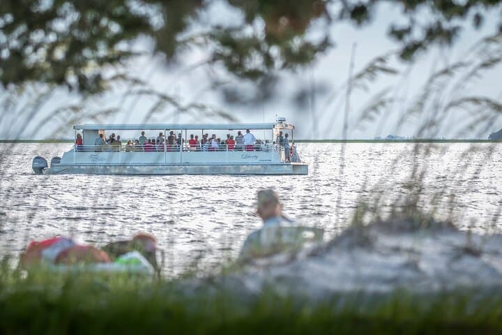 Explore Jekyll Island Dolphin Tours: A Scenic 90-Minute Wildlife Adventure photo 2