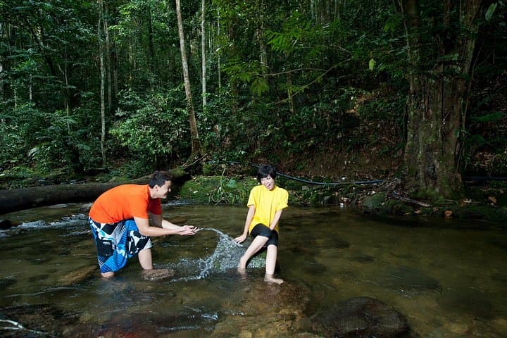 Kuala Lumpur Private Tour: Batu Caves, Selayang Hot Spring & Templer Park Waterfalls photo 3