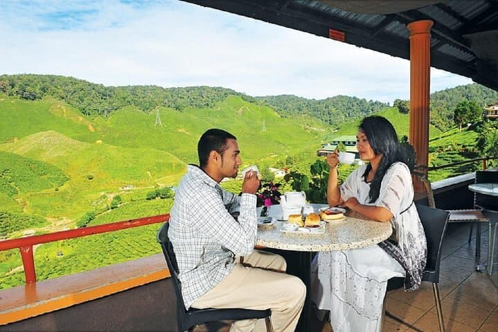 Cameron Highlands Day Trip from Kuala Lumpur — Tea Estates, Strawberry Picking & Waterfalls photo 4