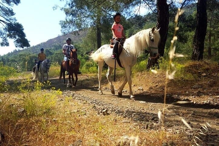 Horse Safari From Kemer: Mountain Rides Through Orange Groves photo 5