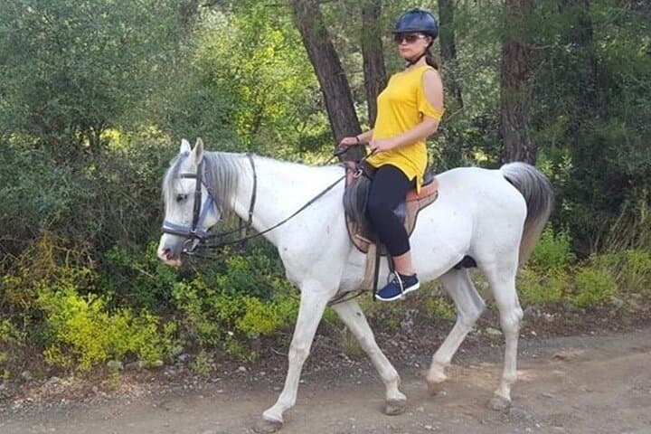 Horse Safari From Kemer: Mountain Rides Through Orange Groves photo 6