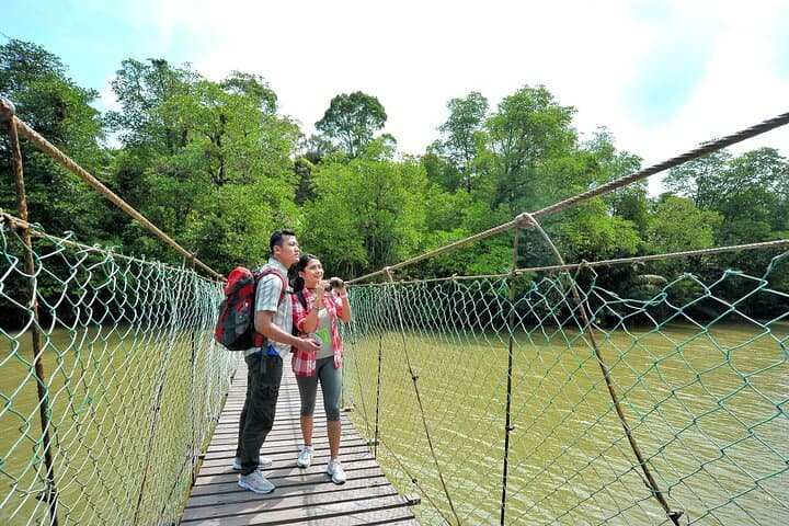 Taman Negara: 2-Day Small-Group Rainforest Adventure from Kuala Lumpur photo 2