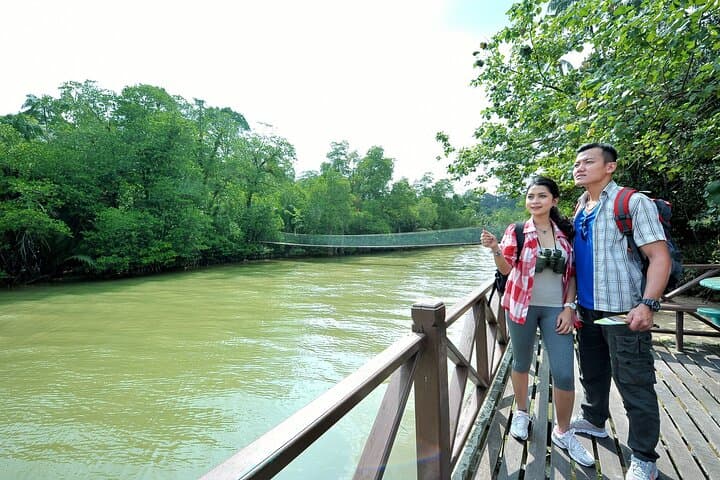 Taman Negara: 2-Day Small-Group Rainforest Adventure from Kuala Lumpur photo 5