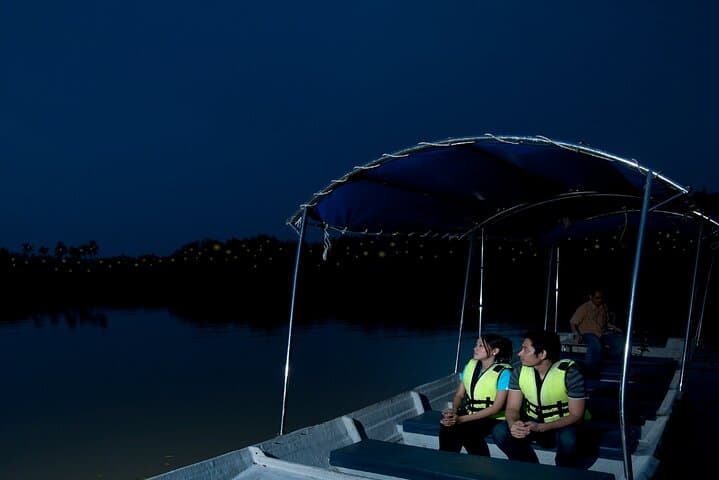 Kuala Selangor Fireflies Night Boat Tour with Seafood Dinner