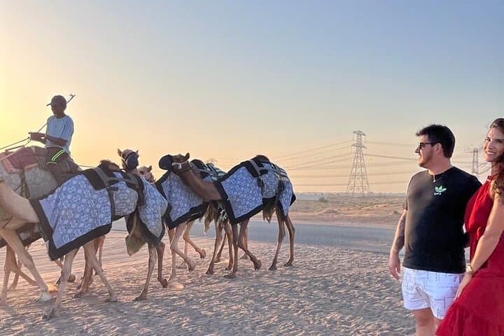Doha Layover: 6-Hour Desert and City Stopover Tour photo 2