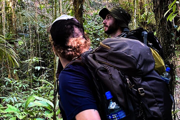 Juatinga Crossing: 4-Day Hike from Paraty Through Atlantic Forest, Waterfalls & Caiçara Culture photo 3