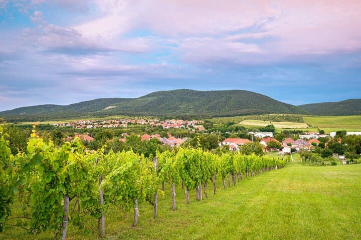 Etyek Wine Day Trip from Budapest: Private Full-Day Tasting & Village Lunch