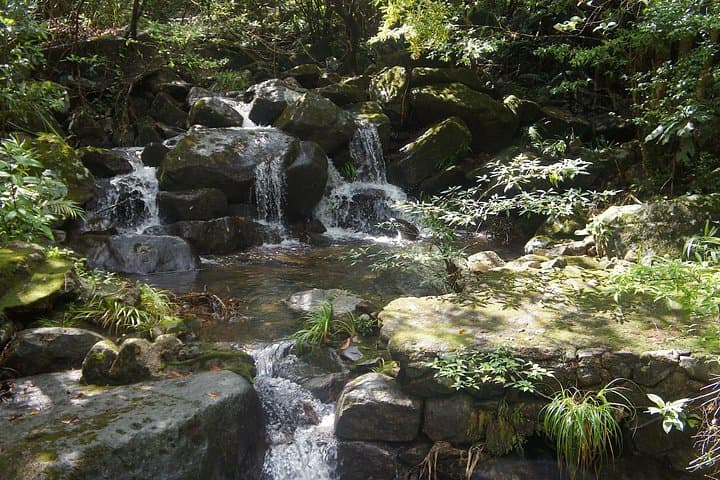 Ma On Shan Highland Hike: Ngong Ping Plateau Overlooking Sai Kung photo 2