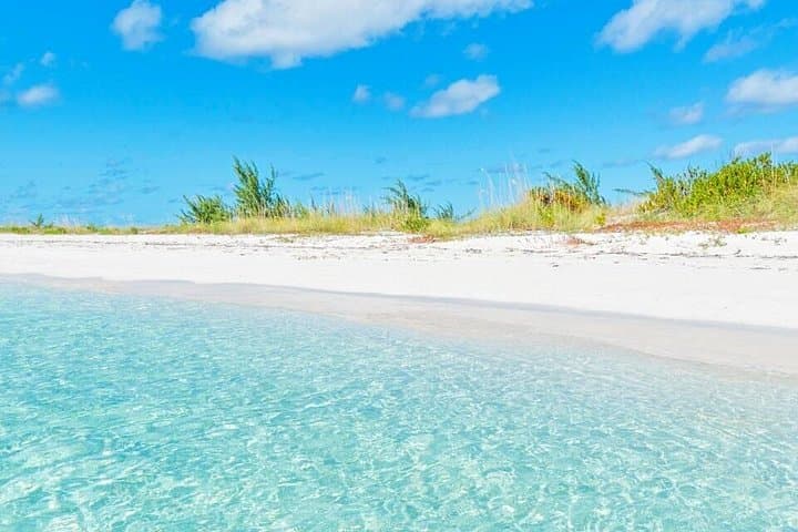 Half-Day Snorkel & Island Hop to Iguana Island and Half Moon Bay, Providenciales photo 3