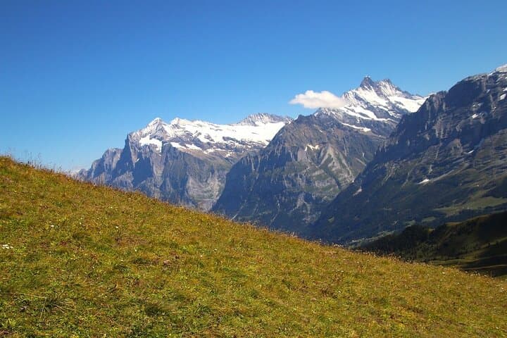 Zurich to Jungfraujoch: Private Day Tour to the Top of Europe photo 5
