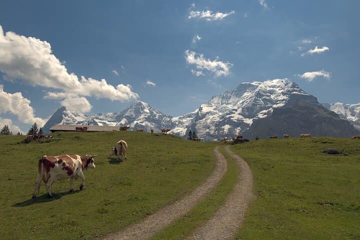 Zurich to Jungfraujoch: Private Day Tour to the Top of Europe photo 2