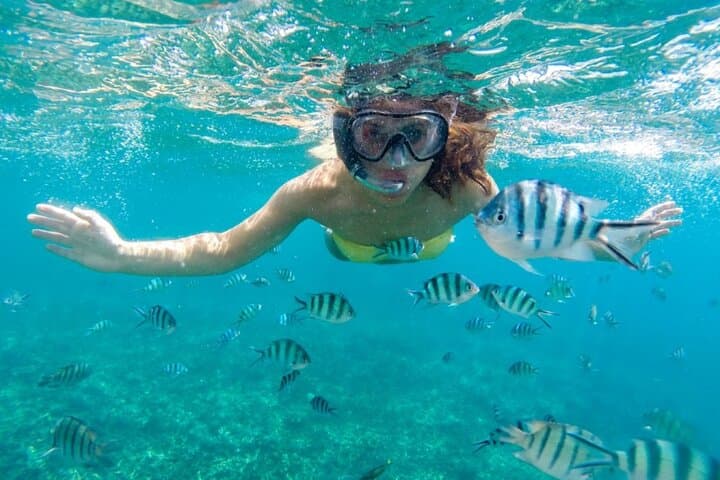 Rosario Islands & Bioluminescence Day Trip from Cartagena photo 4
