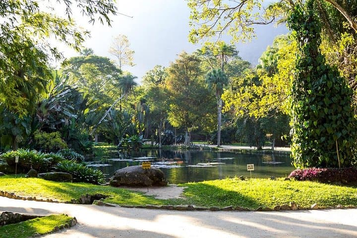 Rio Tropical Treasures: Full-Day Nature Expedition from Botanical Garden to Sugarloaf photo 4