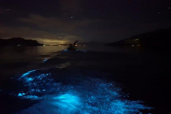 Kayak Bioluminescence Tour at Punta Cuchillos — Eddy's Reserve Costa Rica
