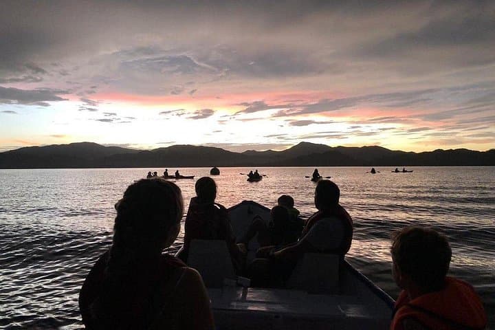 Kayak Bioluminescence Tour at Punta Cuchillos — Eddy's Reserve Costa Rica photo 4