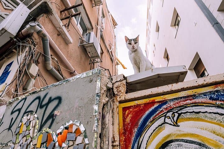 Private Street Art and Graffiti Walking Tour in Tel Aviv — Guided Urban Art Exploration photo 2