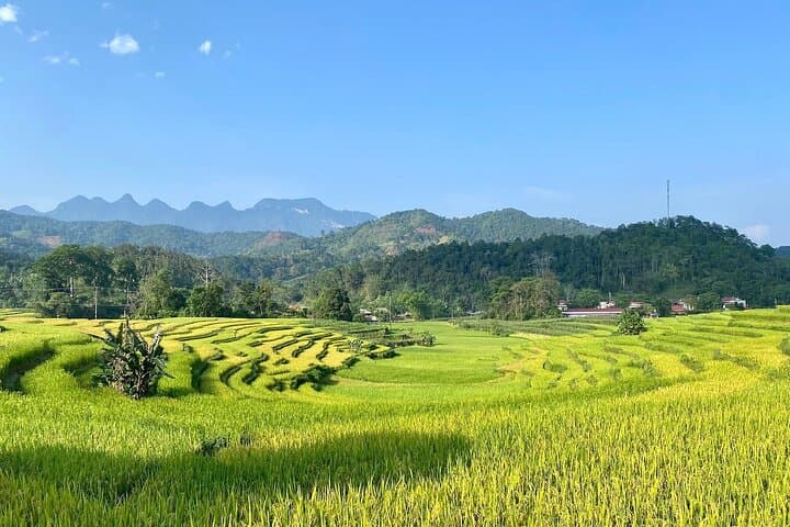 Ha Giang Comfort Car Loop: 4-Day Scenic Drive through Ma Pi Leng and Dong Van photo 4