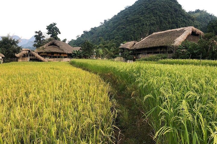 Ha Giang Comfort Car Loop: 4-Day Scenic Drive through Ma Pi Leng and Dong Van photo 5