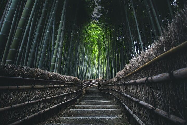 Private Kyoto Sightseeing Tour with Transfers — Full-Day Cultural Highlights photo 3