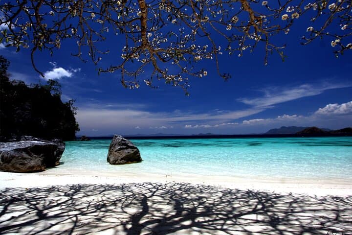 Private Guided Coron Island Eco-Adventure — Kayangan Lake, Twin Lagoons & Maquinit Hot Springs photo 2