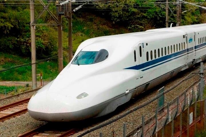 Tokyo to Kyoto by Bullet Train: 1-Day English-Guided Tour photo 1
