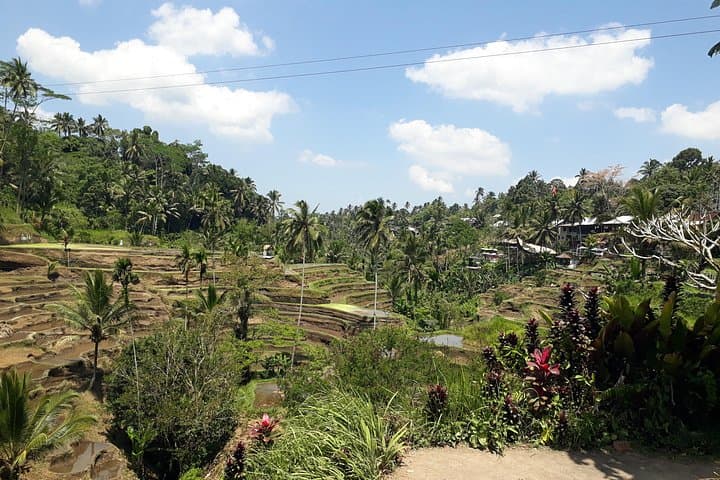 Ubud Countryside Swing & Tegalalang Rice Terraces: Private Day Tour photo 2
