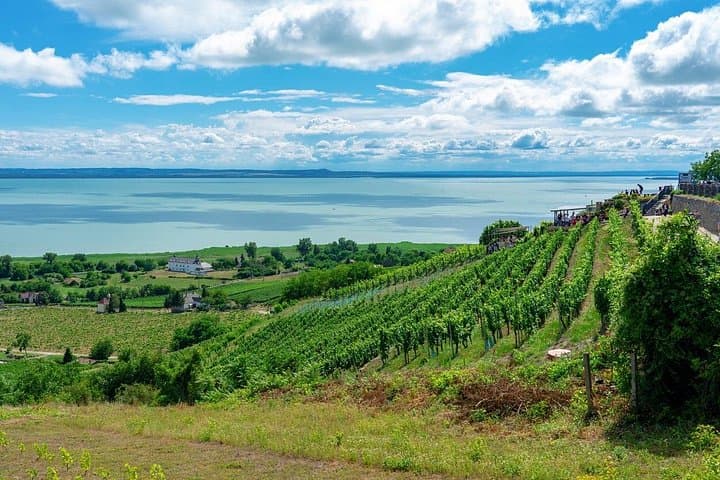 Private Lake Balaton Wine Tour from Budapest — Csopak & Szent Gyorgy Tastings