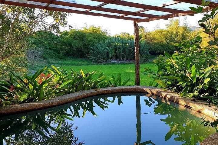 Inside Coron Natural Farms: Private Sustainable Farm Tour with Farm-to-Table Lunch